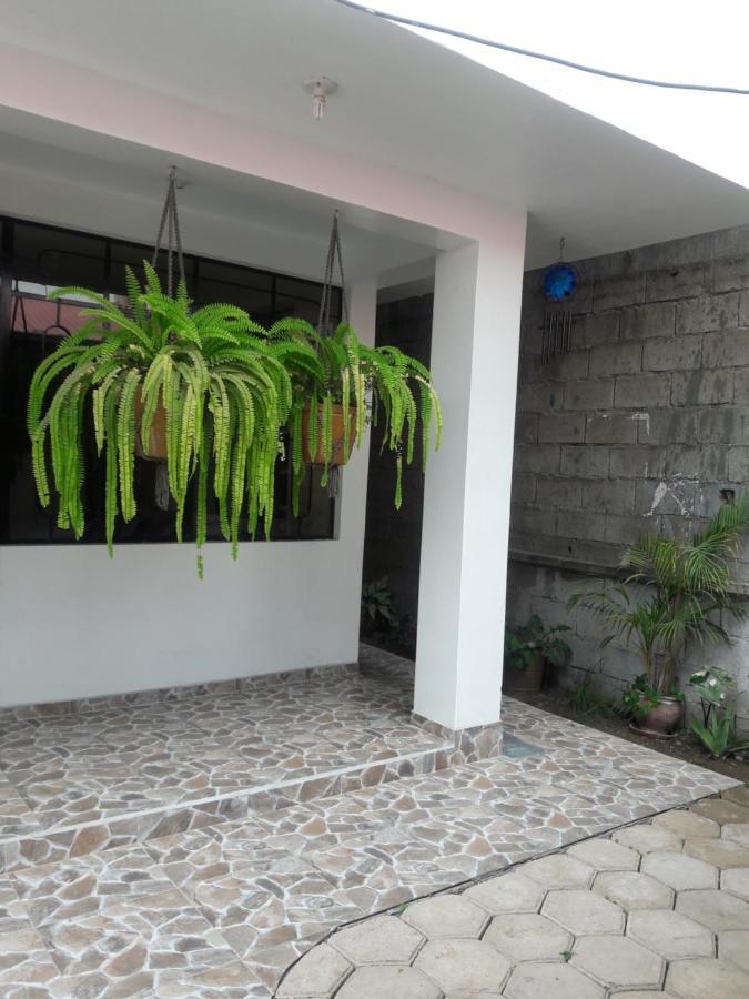 בית הארחה אוקסאפמפה 	Suzet House מראה חיצוני תמונה